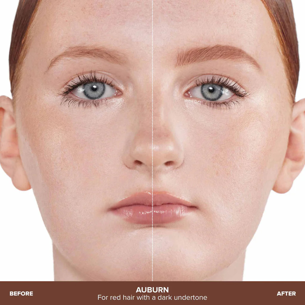 Anastasia brow wizz