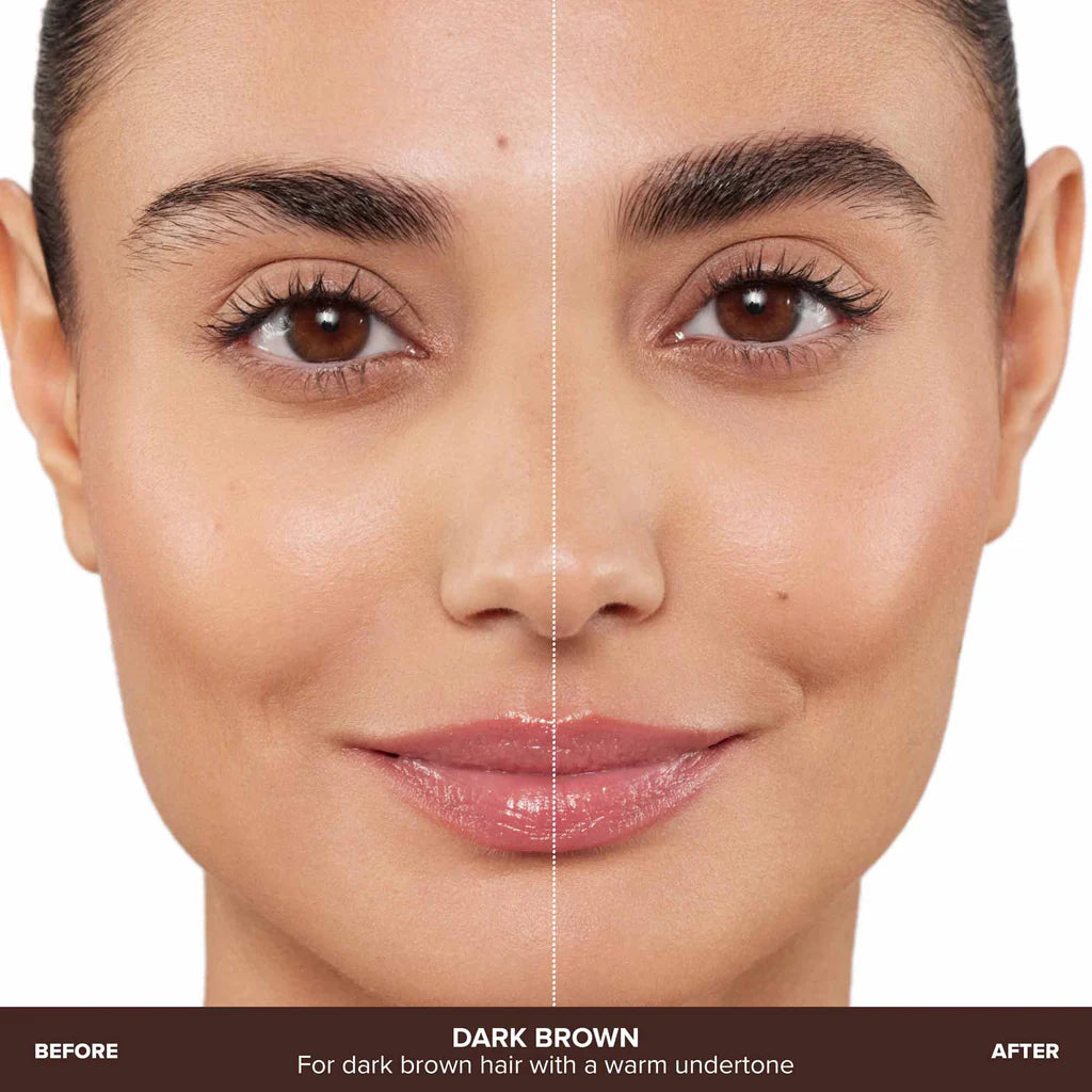 Anastasia brow wizz