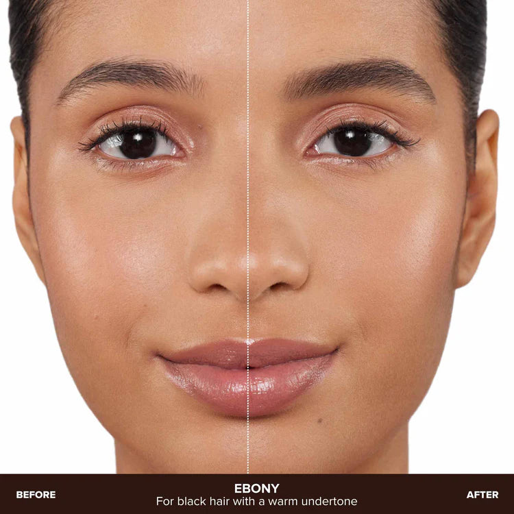 Anastasia brow wizz