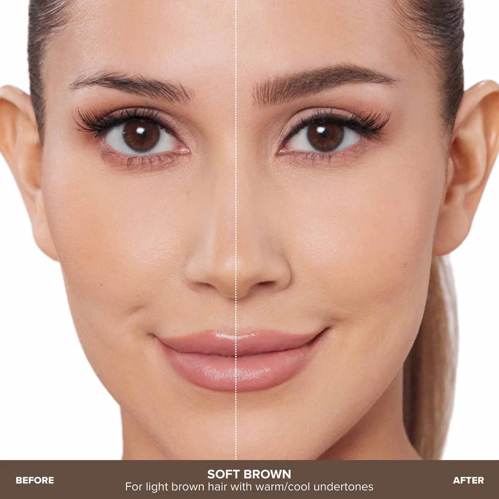 Anastasia brow wizz