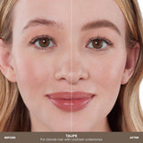 Anastasia brow wizz