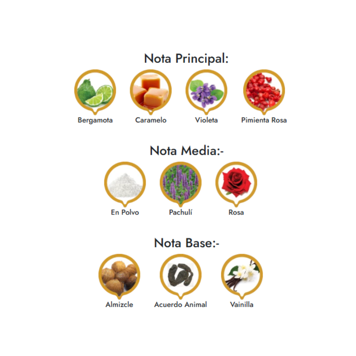 ORIENTICA VELVET GOLD PREMIUM GIFT SET